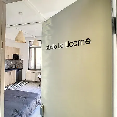 Grand Studio Cosy Tout Confort 2pers Wifi * Amiens